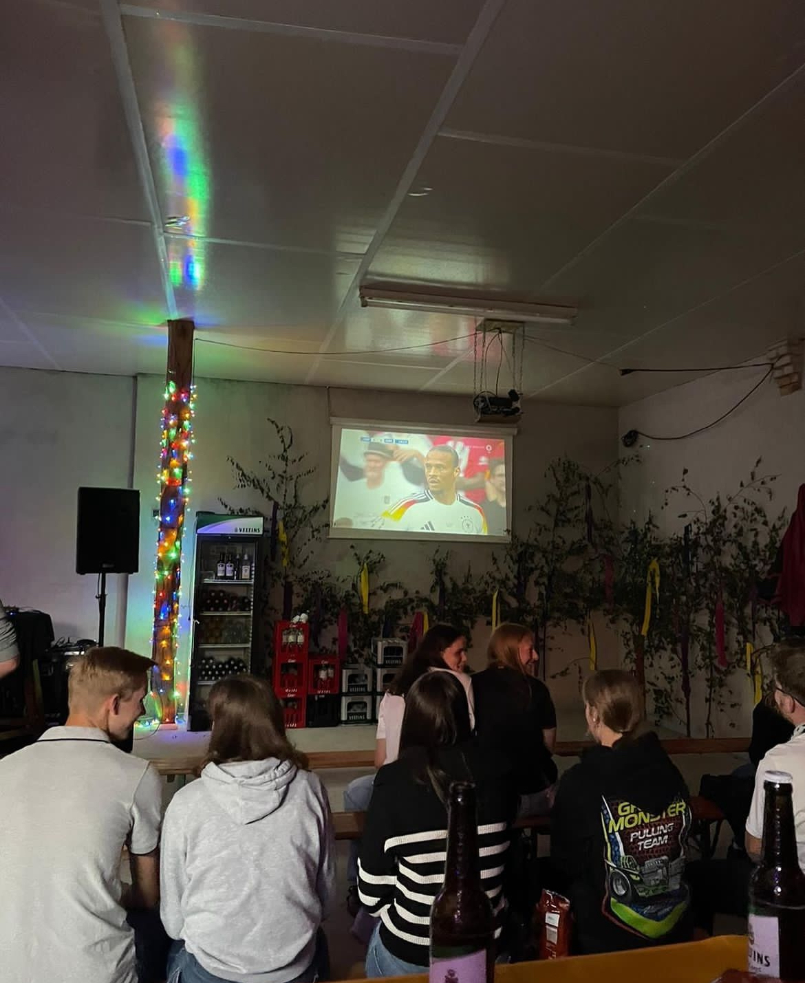 Public Viewing 2024